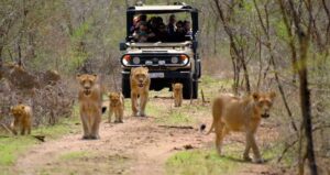 Kruger National Park South Africa