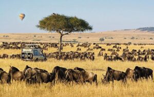 Maasai Mara National Park