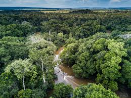 Odzala-Kokoua National Park, Republic of Congo