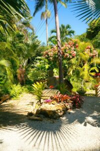 Tranquil Tropical Garden with Buddha Statue in Barbados