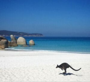 Wilsons Promontory National Park