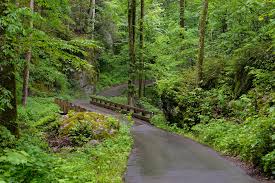 Roaring Fork Motor Nature Trail