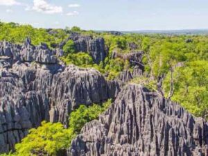 Ankarana National Park