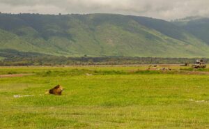 Inside the Ngorongoro Crater