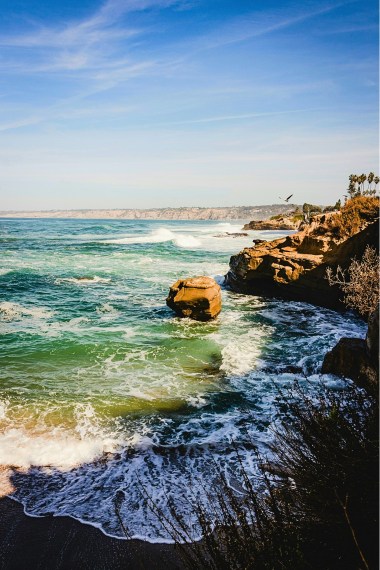 Viewing sea lions from the water in San Diego