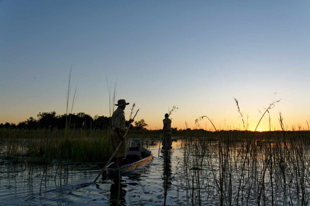 Mokoro ride in the Okavango Delta