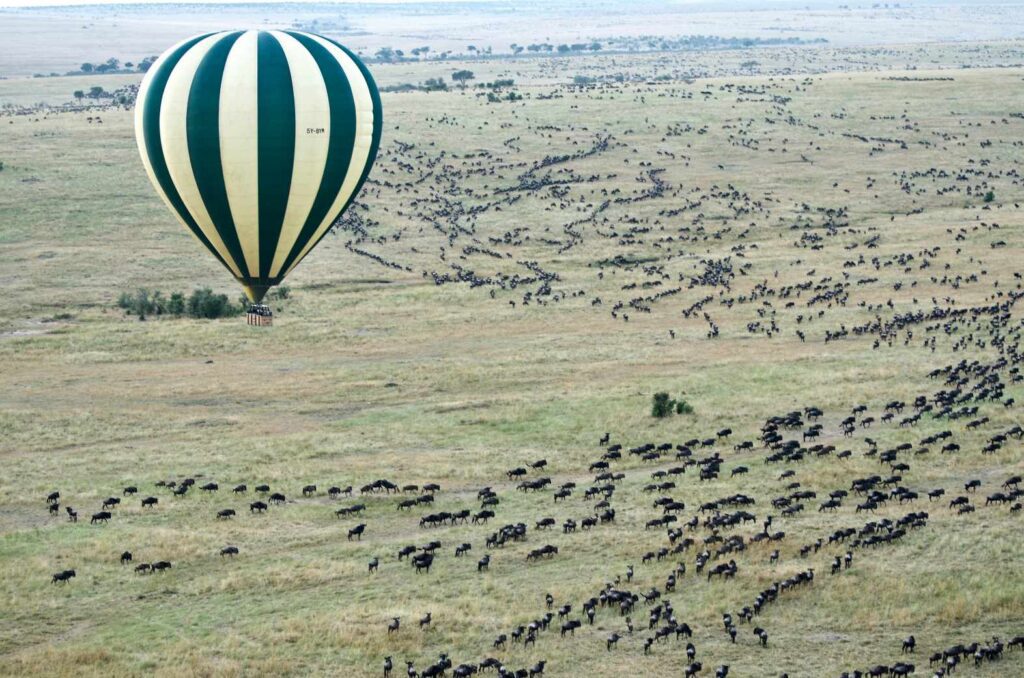 Viewing Wildebeast in Kenya from hot air balloon