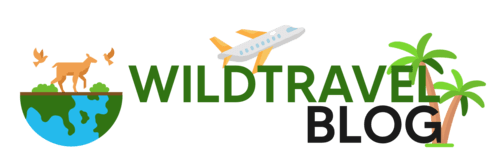 Wild Travel Blog