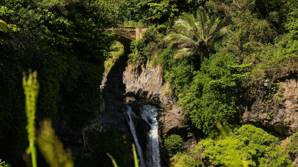 Road to Hana waterfalls
